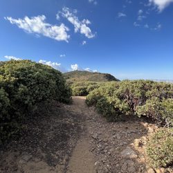 Desert View Picnic Site