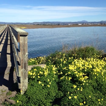 Hayward Regional Shoreline - Cute little foot bridges on the Cog Marsh trail - Hiking Near Me - Hayward, California Hayward Regional Shoreline - Cute little foot bridges on the Cog Marsh trail - Hiking Near Me - Hayward, California