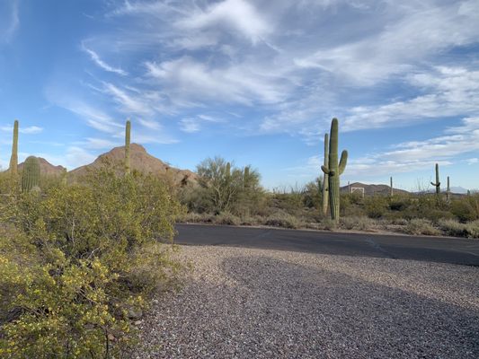 Gilbert Ray Campground by null