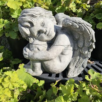 Moon Valley Nurseries - Nurseries & Gardening Near Me - Peachtree City, Georgia