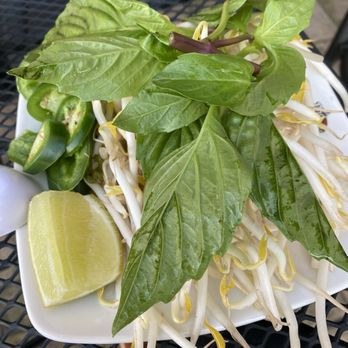 Pho Today - The Been sprout - Vietnamese Near Me - South Plainfield, New Jersey Pho Today - The Been sprout - Vietnamese Near Me - South Plainfield, New Jersey