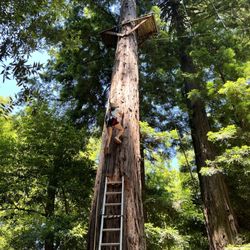 Challenge Sonoma