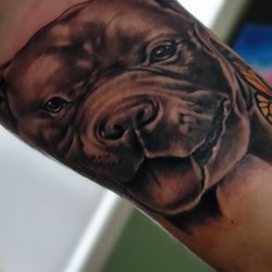 Tatt216 studio