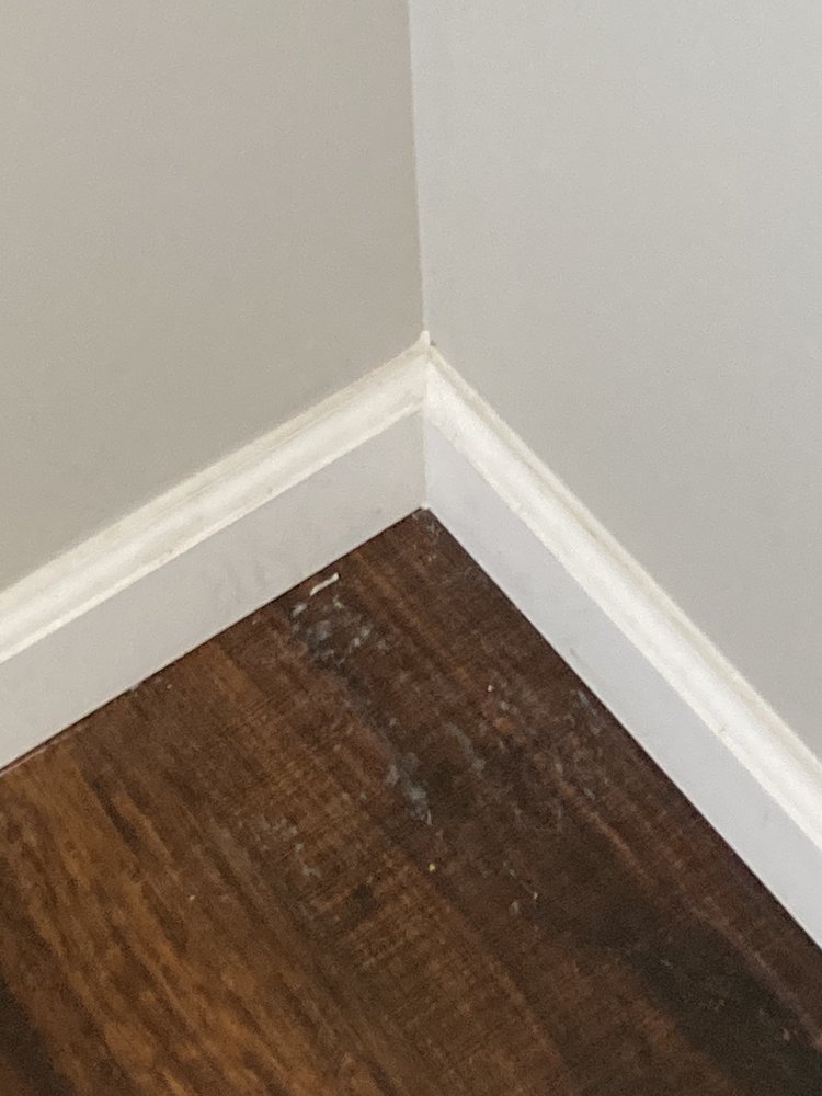 AMERICA’S JANITORIAL SERVICE Updated October 2024 37 Photos & 38