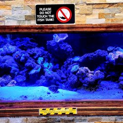 Fast Track Urgent Care - Relaxing aquarium feature in our waiting area designed to create a calm patient experience.