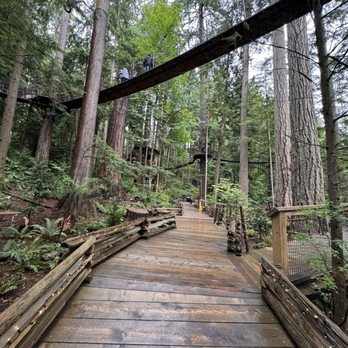 Capilano Suspension Bridge Park - Parks Near Me - North Vancouver, British Columbia
