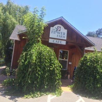 Flower Farm Cafe - Great spot - Coffee & Tea Near Me - Loomis, California