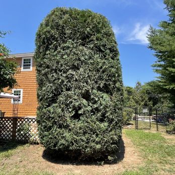 Landscaping RI - After - Landscaping Near Me Landscaping RI - After - Landscaping Near Me