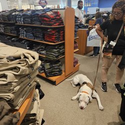Boscov's Travel