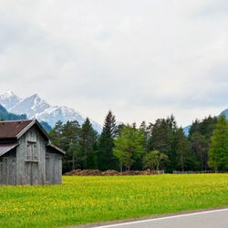 Berg-Gasthof Alpenrose