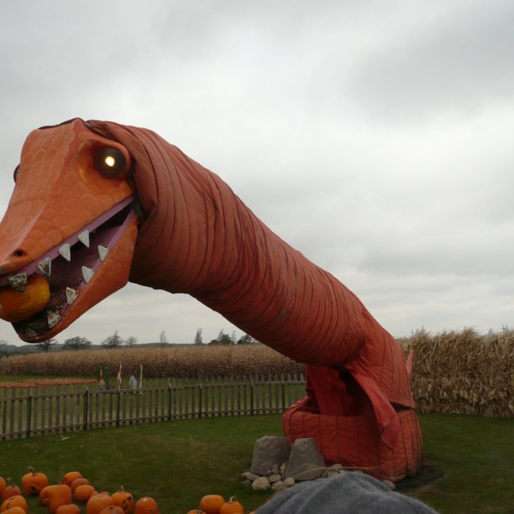 Goebbert's Farm - Pumpkin Patches Near Me - Pingree Grove, Illinois