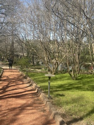 Clark Gardens by null