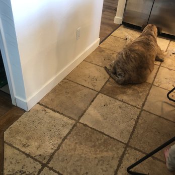 SFE Services - Baseboard installation (my dog not included) - Handyman Near Me