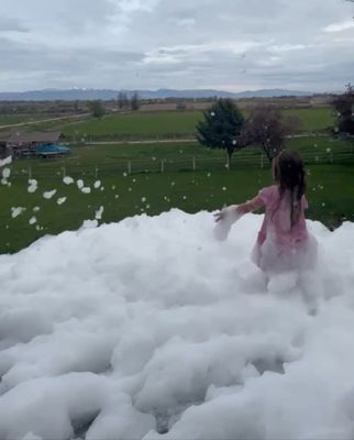 Bubble & Foam Parties San Diego - Bubble Truck San Diego offers a unique entertainment experience that brings joy and wonder to any event. As the city's best foam party provider, we specialize in creating magical moments with our eco-friendly, non-toxic foam that ensures safe fun for guests of all ages. Our services are perfect for birthdays, school events, festivals, and corporate gatherings.

Why book with us?  Our bubble and foam creations transform any space into a vibrant, interactive playground that captivates children and adults alike, making every occasion special.  

We also offer bubble cannons for rent!  Similar in cost if not cheaper than a bounce house, you can control your budget depending on how much bubble powder you want to order.

Our foam is 100% safe, biodegradable, and designed to be gentle on skin and the environment, allowing you to enjoy the festivities without any worries. The visual spectacle of our foam parties provides fantastic photo opportunities, ensuring that the memories of your fun-filled day will last a lifetime.

At Bubble Truck San Diego, we pride ourselves on our professionalism and commitment to customer satisfaction. We handle all aspects of the event—from setup to cleanup—allowing you to relax and enjoy the celebration. Our team is dedicated to delivering exceptional service and ensuring that every event we attend is a huge success.

Book us today and let Bubble Truck San Diego make your next event truly unforgettable. Experience the magic of bubbles and foam and see why our parties are a hit in the community. Join the many happy customers who have made their events memorable with our unique and delightful entertainment options.