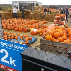 Farma Dyń