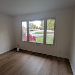 The Carpet Place