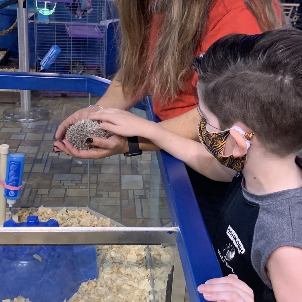 Exotic Tropical Pet World - Hedgehog - Local Fish Stores Near Me - McAllen, Texas Exotic Tropical Pet World - Hedgehog - Local Fish Stores Near Me - McAllen, Texas