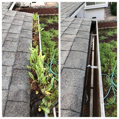 Gutter Cleaning - Clogged gutters can lead to costly damage, including roof leaks, foundation issues, and mold growth. Regular gutter cleaning ensures proper water flow, preventing water buildup that can harm your home’s structure.

Benefits: ✅ Prevents water damage ✅ Protects your foundation ✅ Reduces the risk of mold & mildew ✅ Keeps pests away ✅

Don’t wait for the next storm—keep your gutters clean and your home safe! Schedule a gutter cleaning today!