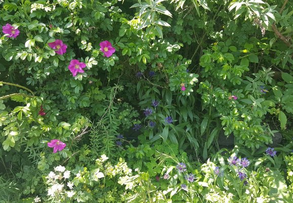 Third Place Books by null