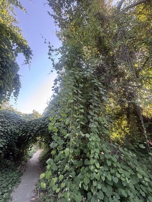 Whittier Narrows Natural Area by null