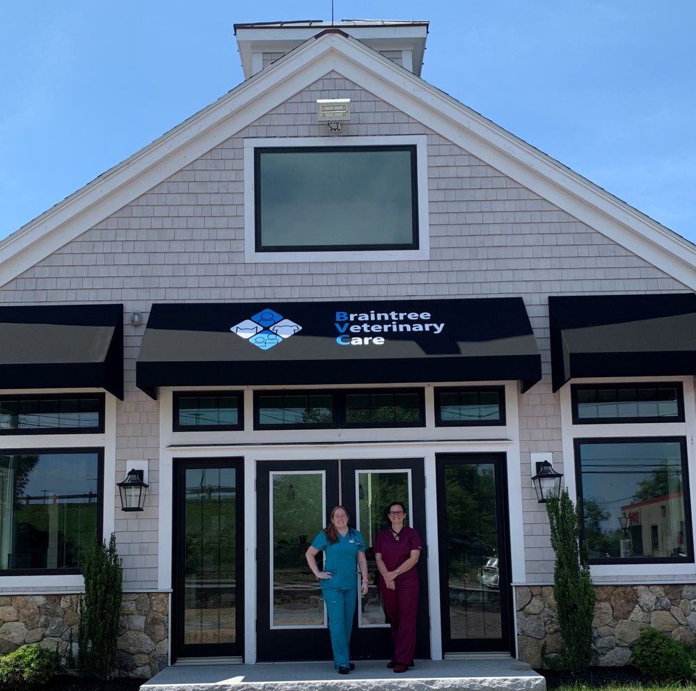 BRAINTREE VETERINARY CARE Updated June 2024 15 Reviews 494 Quincy Ave, Braintree
