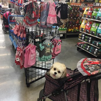 Pet Food Express - Dylan needs new dresses ASAP b/c my princess has to represent cute Cavachons. - Pet Stores Near Me - Long Beach, California Pet Food Express - Dylan needs new dresses ASAP b/c my princess has to represent cute Cavachons. - Pet Stores Near Me - Long Beach, California