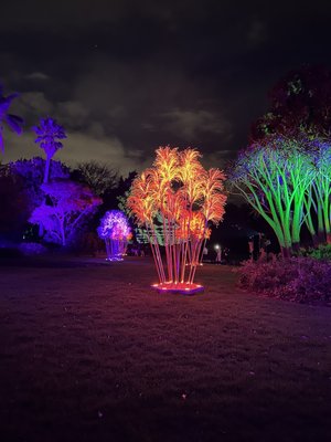 Royal Botanic Gardens Victoria - Melbourne Gardens by null