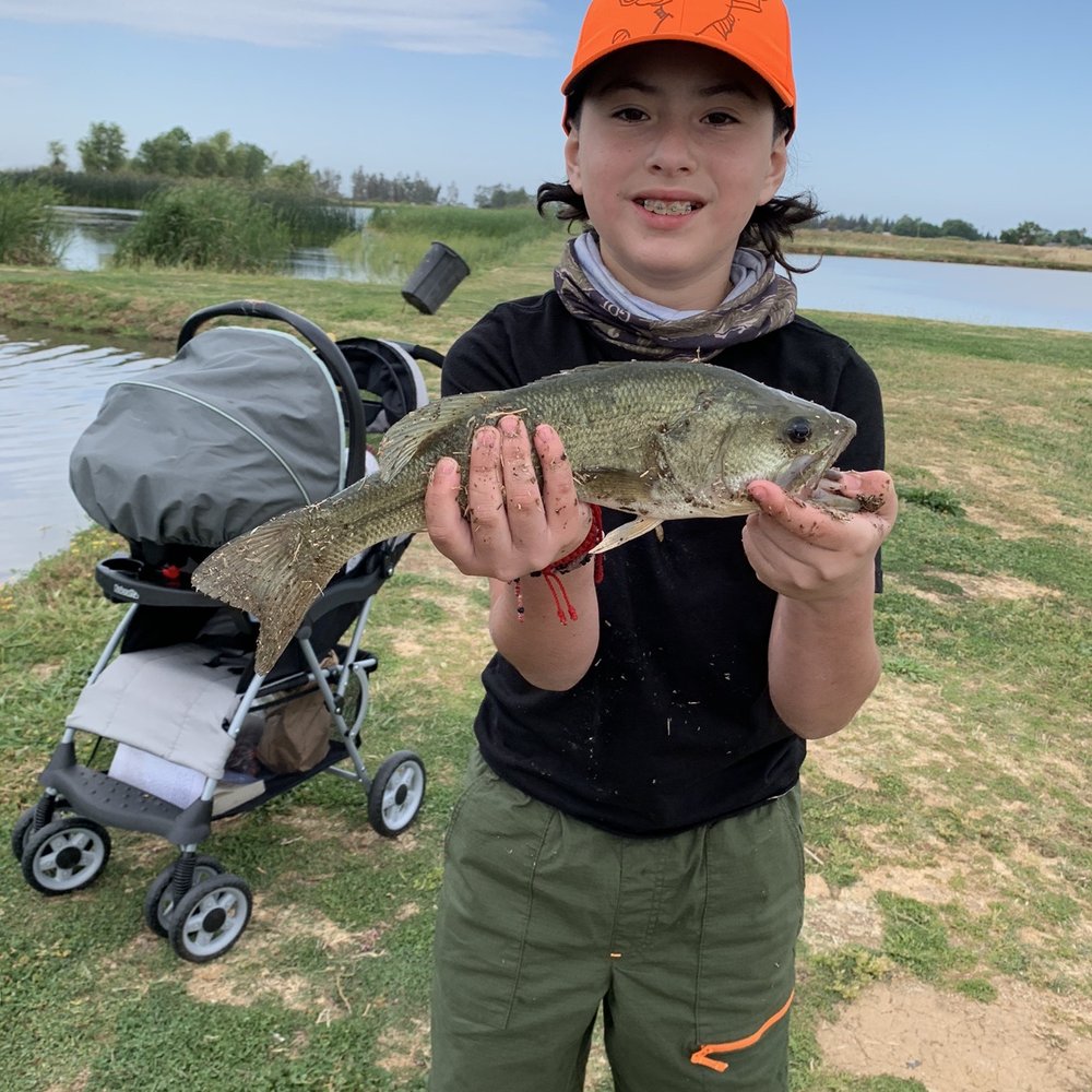 Top 10 Best Trout Fishing near Auburn, CA Last Updated August 2021 Yelp