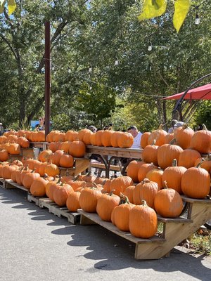 Swamp Rabbit Cafe and Grocery by null