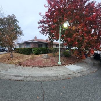 ZR Pro Landscaping - Front yard - Before - Lawn Services Near Me ZR Pro Landscaping - Front yard - Before - Lawn Services Near Me