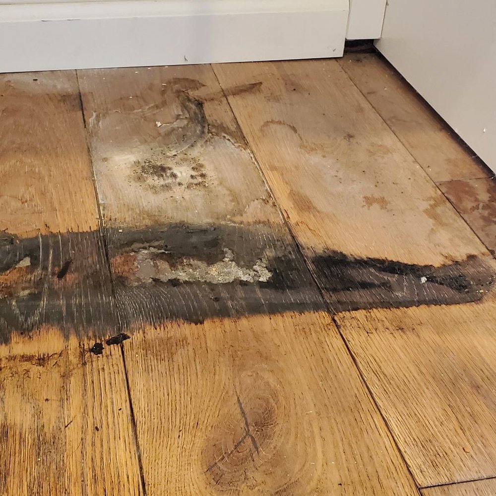 Bravo Restoration & Construction - Damage from the leaky dishwasher. - Damage Restoration Near Me - Windsor, California Bravo Restoration & Construction - Damage from the leaky dishwasher. - Damage Restoration Near Me - Windsor, California