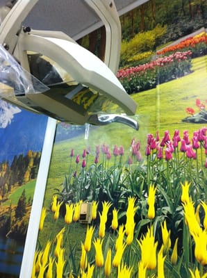 Brad A Wahlstrom, DDS