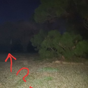 Nola Ghost Riders - Look closely....btw, people are buried all through this ground in unmarked graves.  And the tree to the right is called the "suicide tree" - Historical Tours Near Me - New Orleans, Louisiana