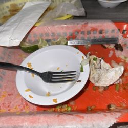 Estela's Taqueria - I tore it up