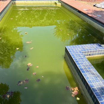 Ryan Ramos Pool & Spa - Pool Cleaners Near Me Ryan Ramos Pool & Spa - Pool Cleaners Near Me