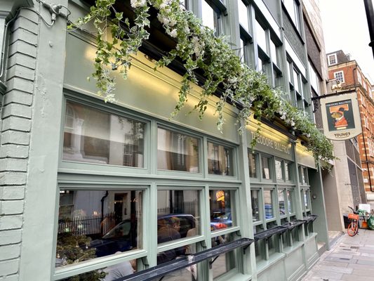 Theodore Bullfrog by null