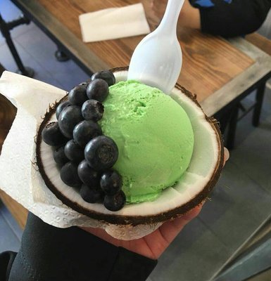 Arctic Scoop by null