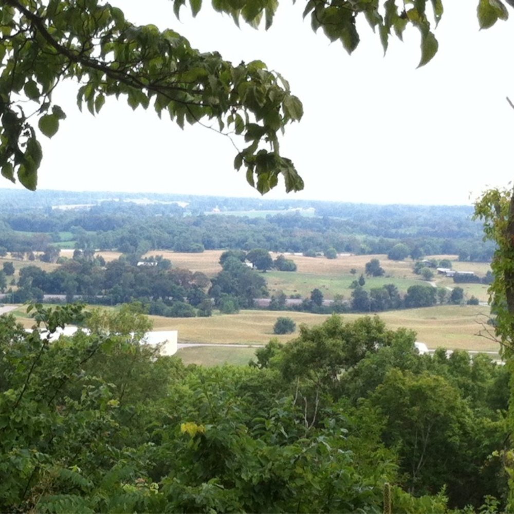 Cave Valley Winery - a view of the valley - Wineries Near Me - Park City, Kentucky Cave Valley Winery - a view of the valley - Wineries Near Me - Park City, Kentucky