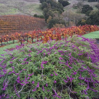 Hanna Winery - Wineries Near Me - Healdsburg, California