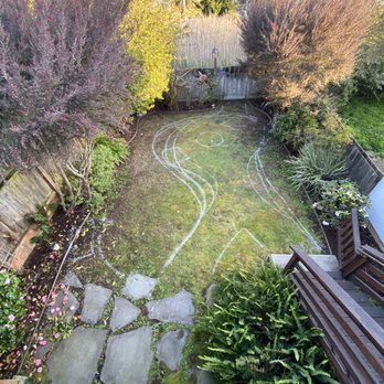 Zenscape - Back Garden before Brian Ott and Zenscape (Brian spray painted the grass to allow us to visualize his idea/plan). - Landscaping Near Me Zenscape - Back Garden before Brian Ott and Zenscape (Brian spray painted the grass to allow us to visualize his idea/plan). - Landscaping Near Me