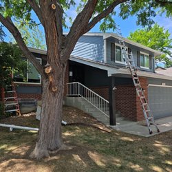 Eagle Eye Renovations