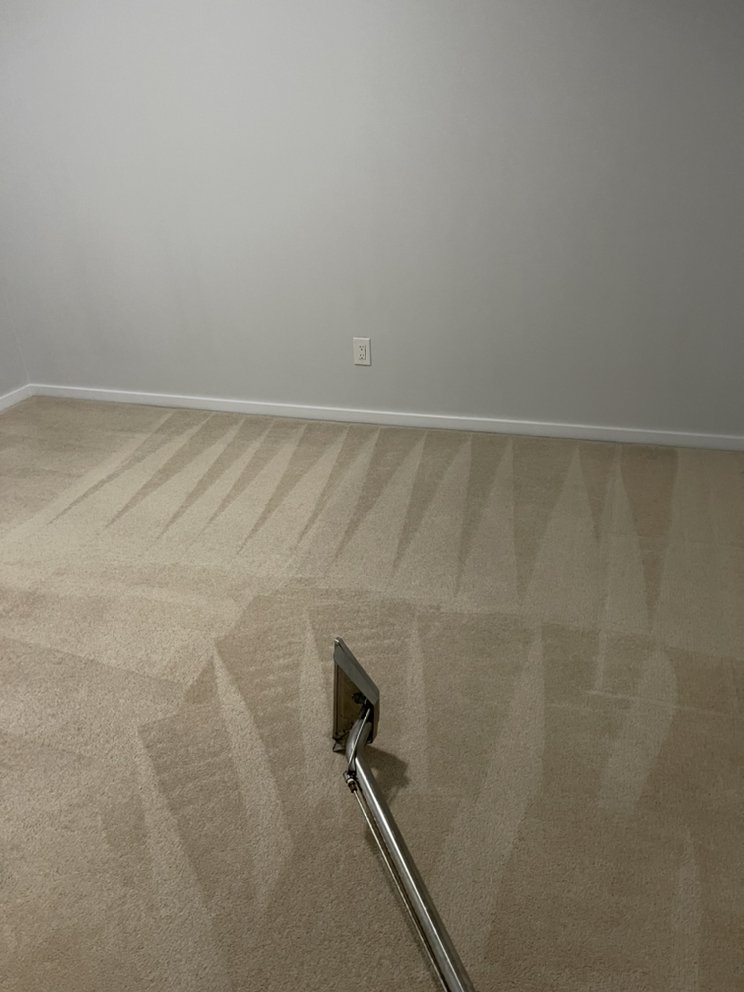 CARPET PLUS CLEANING Updated September 2024 Request a Quote 2229