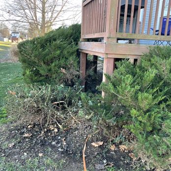 Lopez Tree Service - Tree Services Near Me - Jeffersontown, Kentucky Lopez Tree Service - Tree Services Near Me - Jeffersontown, Kentucky