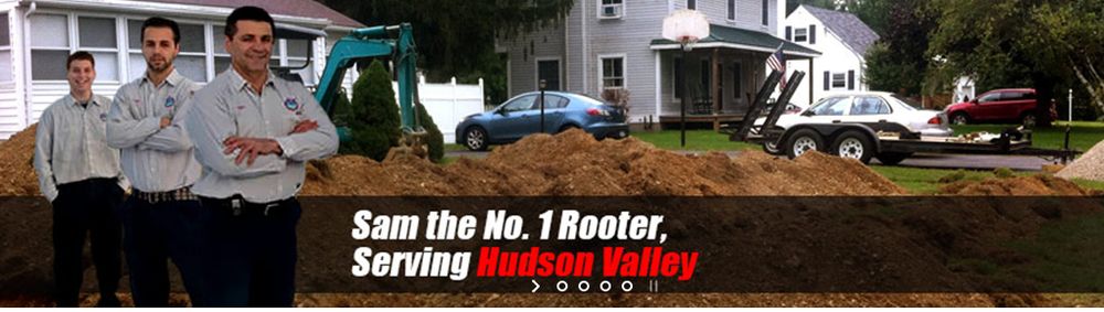 Slide of Number One Rooter