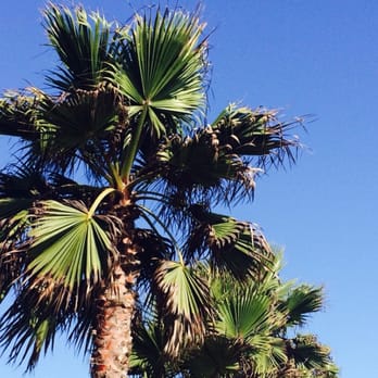 Capistrano Beach Park - Parks Near Me - Dana Point, California