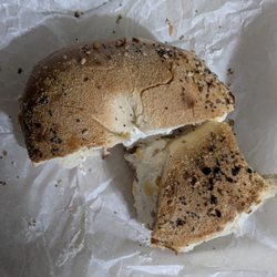Bagel World - "Toasted Everything Bagel"
