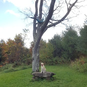 Dog Mountain - Dog Mtn. - Dog Parks Near Me - St. Johnsbury, Vermont