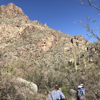 Sabino Canyon - Trail - Parks Near Me - Tucson, Arizona Sabino Canyon - Trail - Parks Near Me - Tucson, Arizona