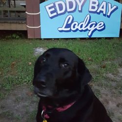 Eddy Bay Lodging - Wish you were here!