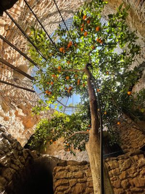 Forestiere Underground Gardens by null